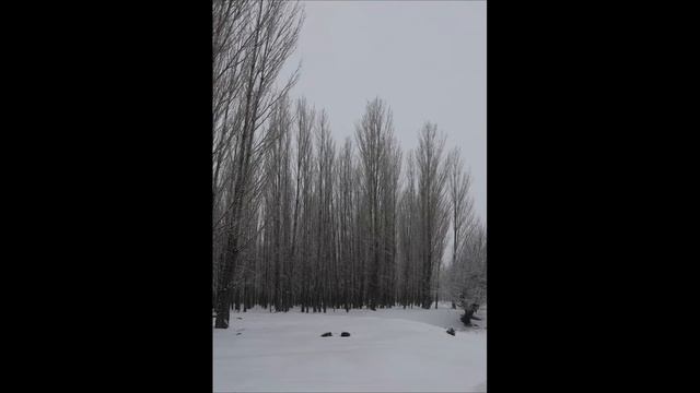 Nova Norda - Beni Biraz (Slowed-Kar Yağarken) смотреть онлайн