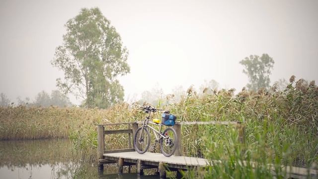 Helix@南生圍 смотреть онлайн