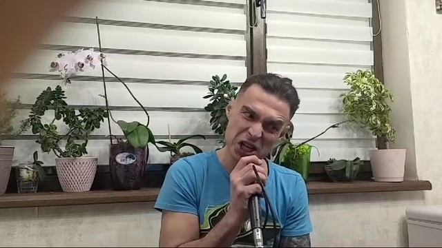 Король и Шут. Лесник. cover