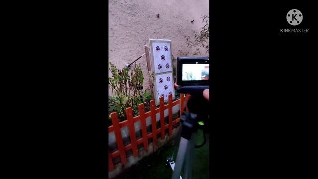 Por fin instalamos mira Comet y revisamos bruñido del Kral jumbo dazzle смотреть онлайн