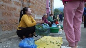 Harvest green vegetables goes to the market sell - Grow ginger | Ly Thi Tam