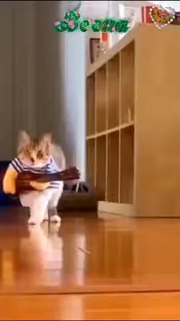 «С Днем кошек и первым днем весны!»😻😻😻🍃🍃🍃🌹🌹🌹 смотреть онлайн