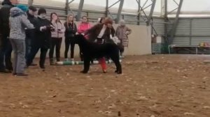 АЛАКСАР СВЕТ ВАХИТ