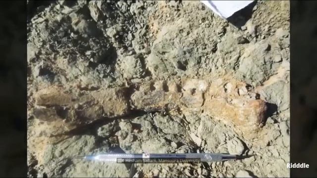 Великий Мансур смотреть онлайн