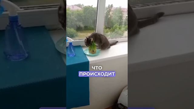 Холодная зима и теплое сердце! | Кайли