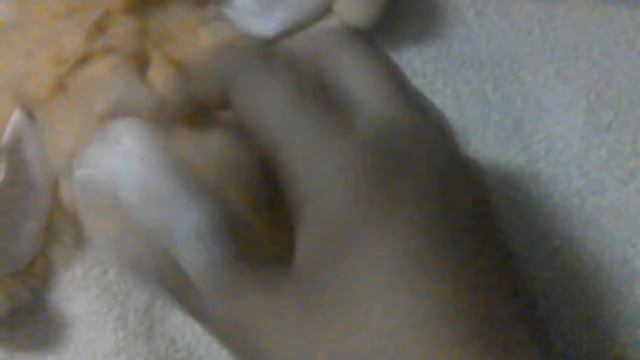 Обзор моего зайчика смотреть онлайн