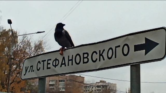 Ворона и сосиска
