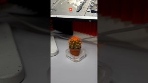 Последние события в мастерской