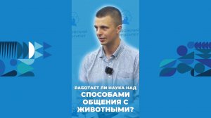 Работает ли наука над способами общения с животными – рассказывает эксперт ЯрГУ