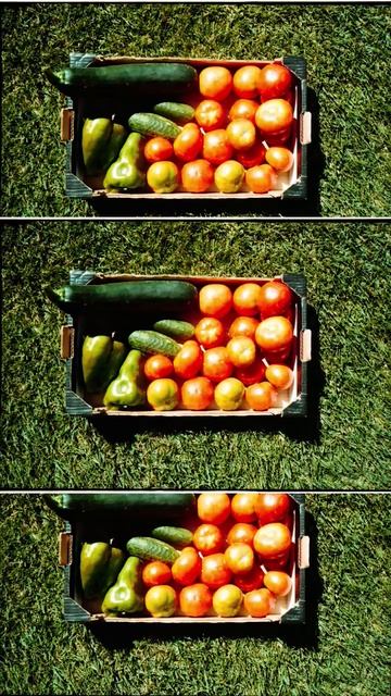 best compact camera ever #shorts #35mm #kodakgold #filmphotography смотреть онлайн