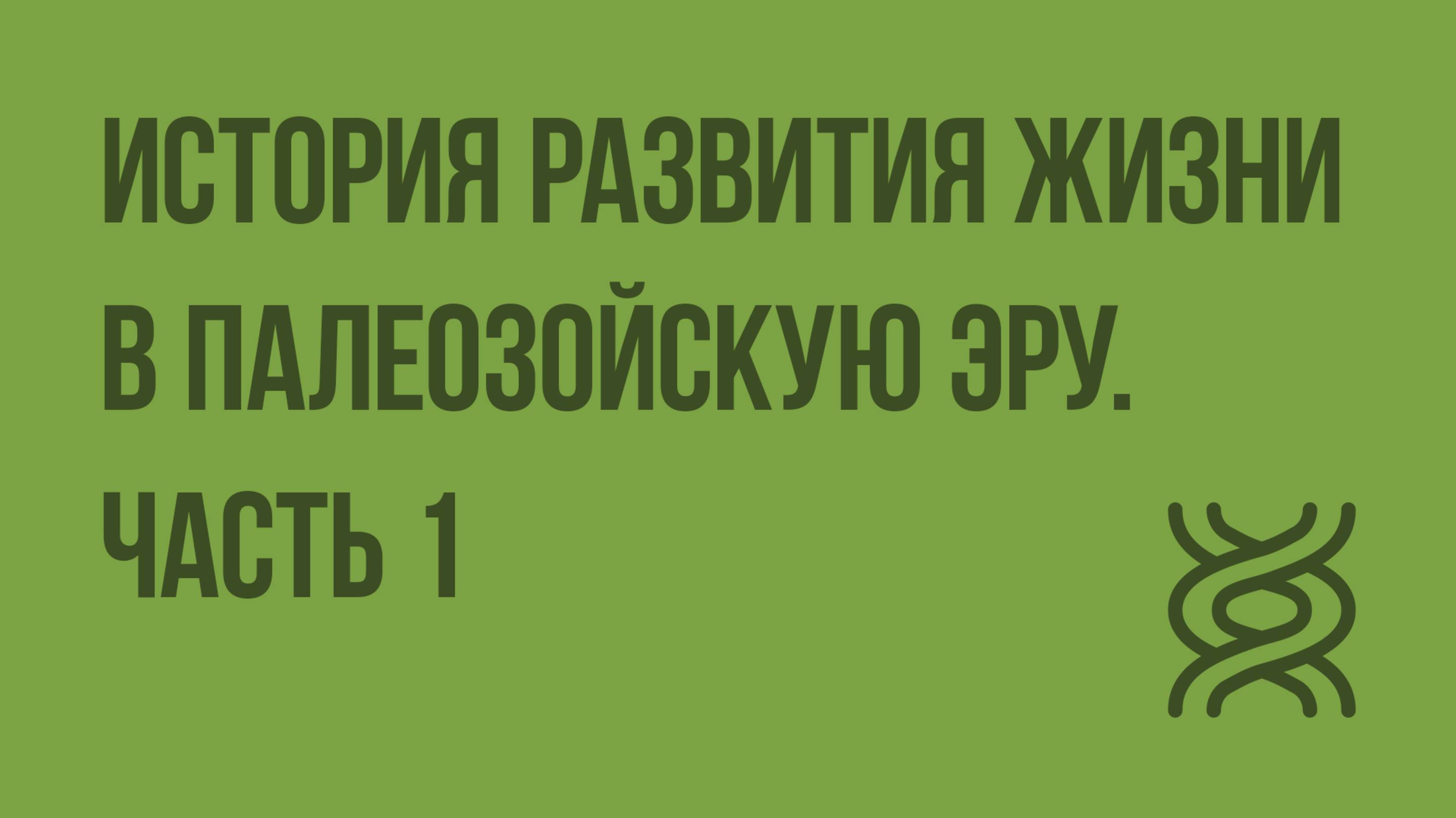 История развития жизни в палеозойскую эру. Ч. 1. Видеоурок по биологии 11 класс