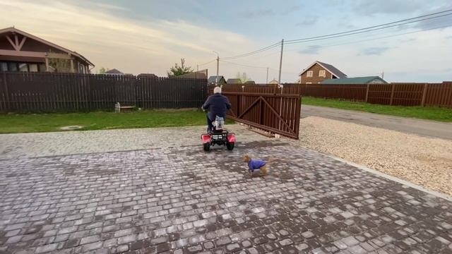 #Электроскутер #Trike X5 1500W‼️ 48V15Ah⚡️ Валит до 45 км/ч. Запас хода до 30 км. смотреть онлайн