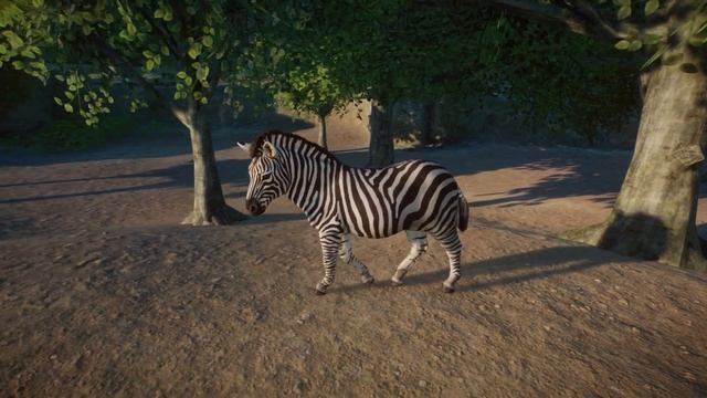 Zebra | Planet Zoo Animals смотреть онлайн