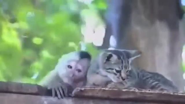Таджикистан