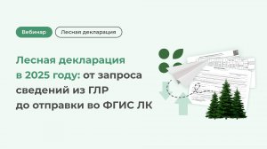 Лесная декларация в 2025 году: от запроса сведений из ГЛР до отправки во ФГИС ЛК