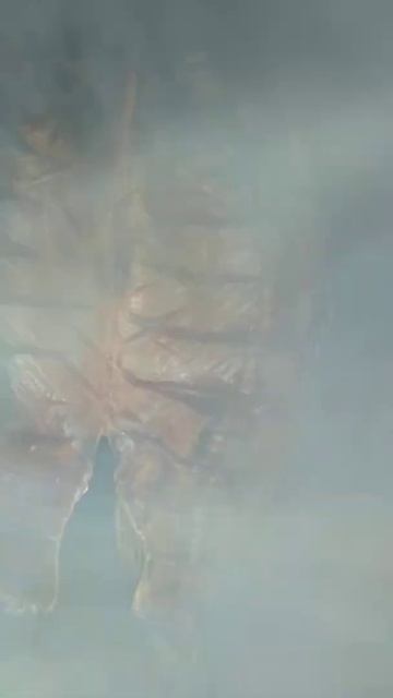 Карп холодного копчения смотреть онлайн