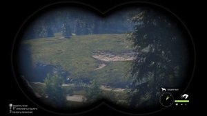 TheHunter Call of the Wild - Охота на индейку, косулю и бизона (#4)