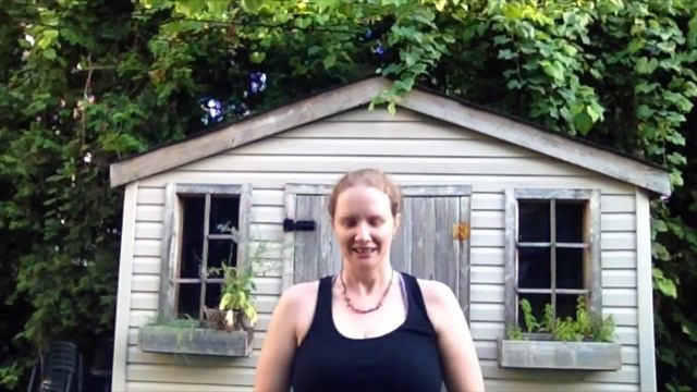 Vlog 2 (2014) - Ice Bucket Challenge смотреть онлайн