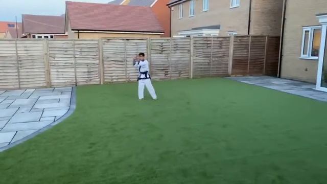 Tang Sou Dao, Kai- Kicking Form 2 смотреть онлайн