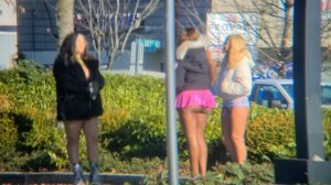 Pink Skirt Aurora Ave 1