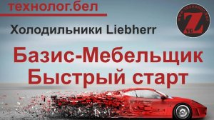 Холодильники встраиваемые Liebherr для Базис Мебельщика и Базис Салона