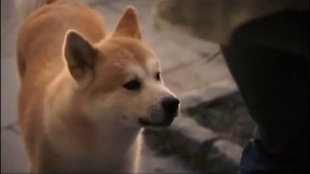 Alena Love//о фильмах смотреть онлайн