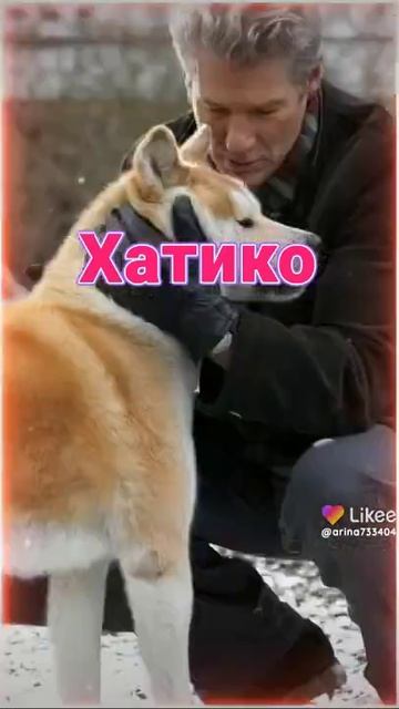 это фильм советую вам посмотреть называется Хатико самый верный друг смотреть онлайн
