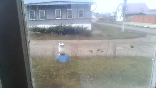 #3 дайте на пельмени безвозмездно смотреть онлайн