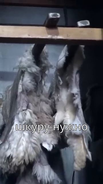 Выделка шкуры смотреть онлайн