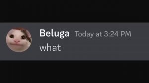 Сборник видео Beluga с русским переводом от @TXPStudio