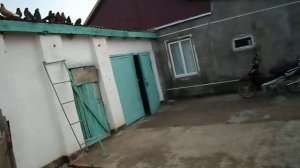 Голуби Крыма №9