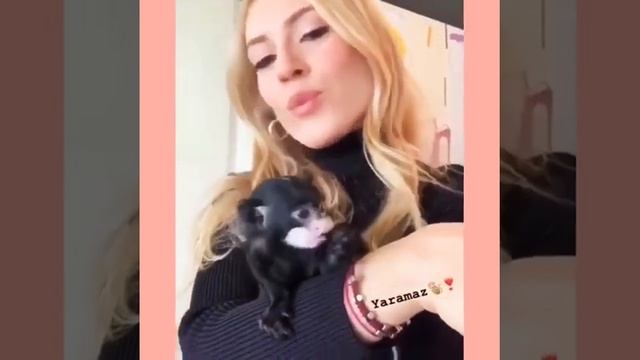 Yaramaz🐒💕 смотреть онлайн