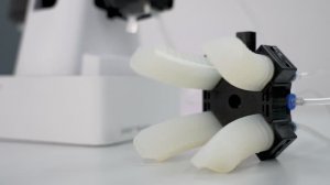 Мягкий пневматический захват на базе полимерных актуаторов PneuNet
