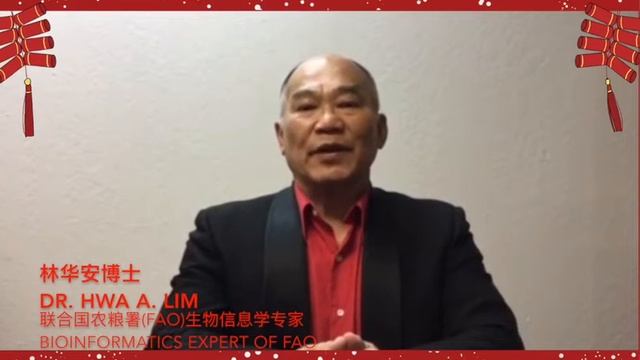 Chinese New Year 2019 - Year of the Boar - Greetings from Dr. Hwa A. Lim смотреть онлайн