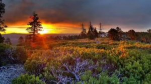 БудиМира.Множественные правовые системы.Число 666.