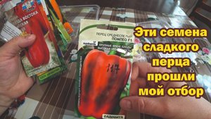 Эти семена сладкого перца прошли мой отбор