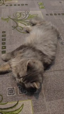 У каждого свои заботы