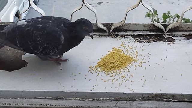 9 ноября 2022 г. смотреть онлайн