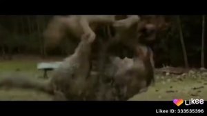 Друк  защитил подругу або сестру