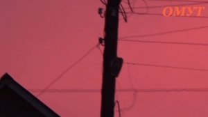 277. КРАСОТИЩА -ТО КАКА...