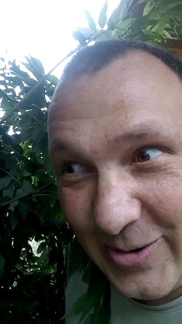 Мужик и кукушка🤣#анекдот #юмор смотреть онлайн