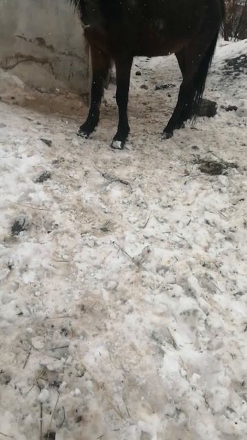 Продам акмолинская обл смотреть онлайн