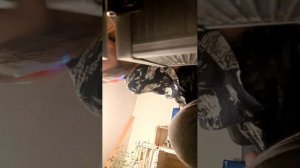 Опять готовимся ко сну