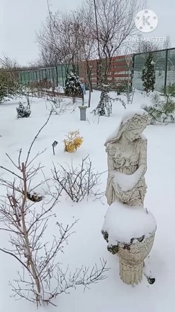 Крым, февраль, снег #Shorts