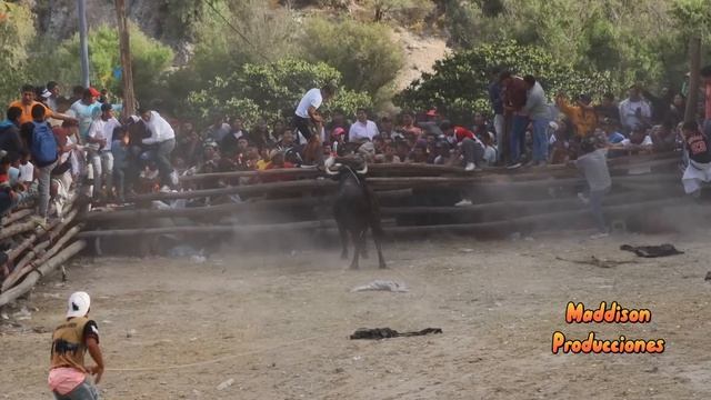Gran corrida de toros..Chacco 29 mayo 2023 Ayacucho. смотреть онлайн