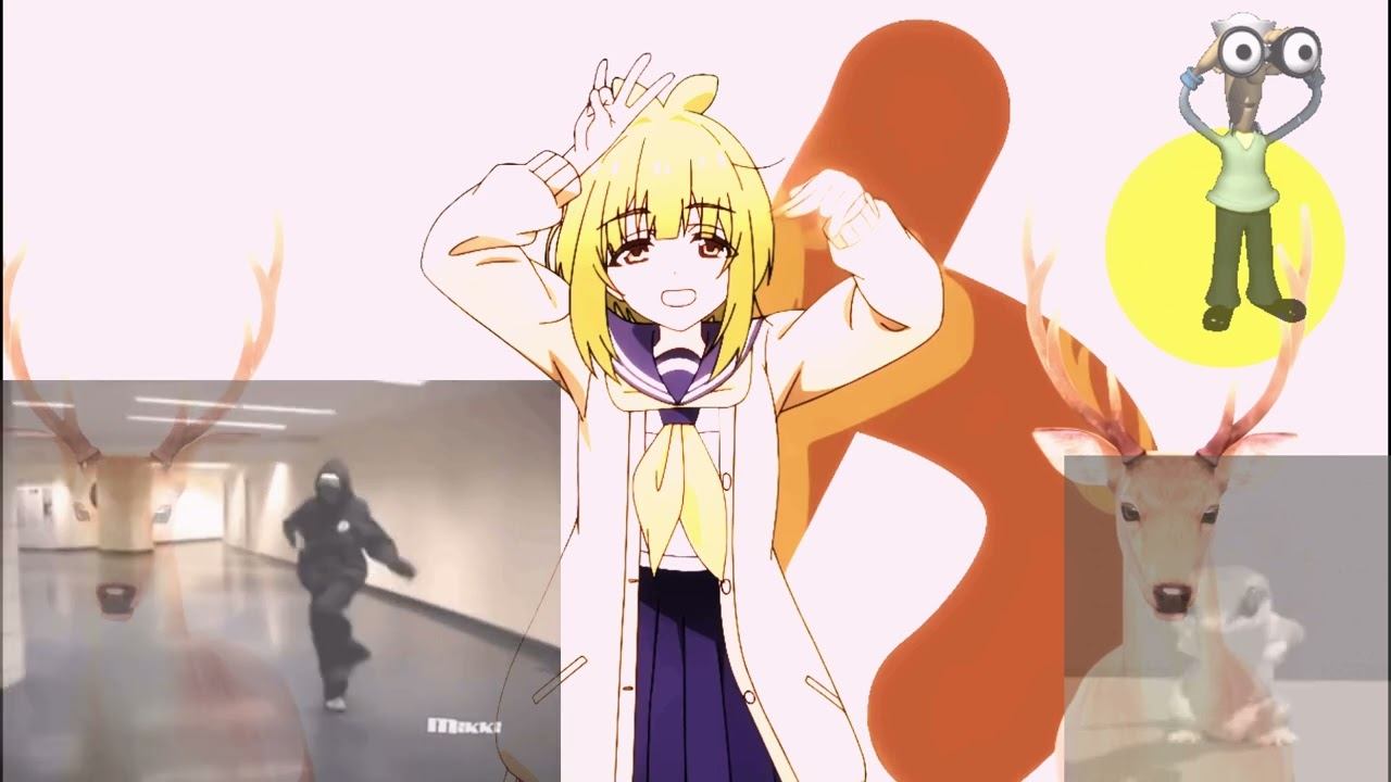 SHIKANOKO NOKONOKO KOSHITANTAN X OutLaw HARDSTYLE REMIX | plague смотреть онлайн