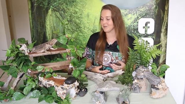 5 Cheap Reptile Hacks! Also fun DIY projects! смотреть онлайн