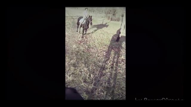 Фразы Мягенького оператора =з смотреть онлайн