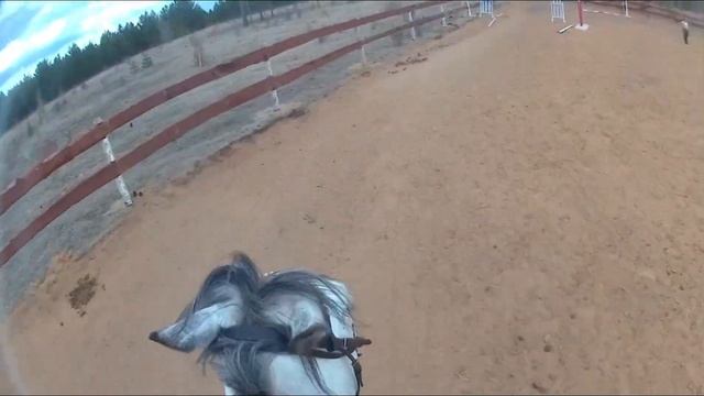 КОНКУР ОТ ПЕРВОГО ЛИЦА!//Упала?..//GoPro смотреть онлайн