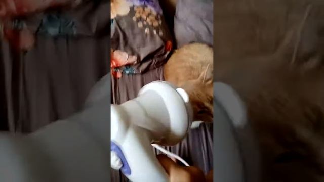 Коты тоже любят массаж смотреть онлайн